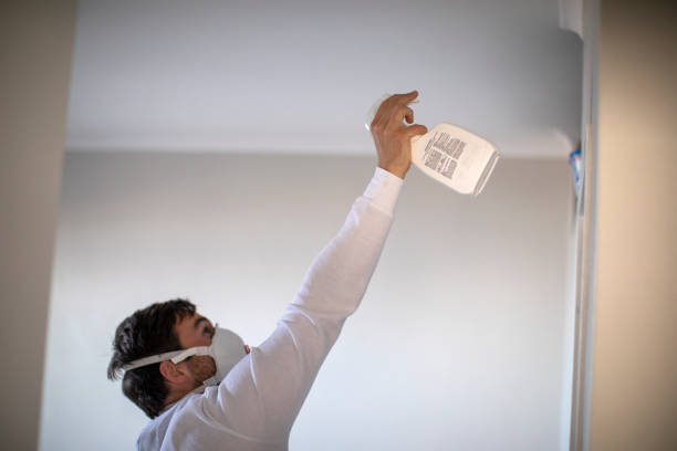 Best Mold Remediation  in Paradise, CA