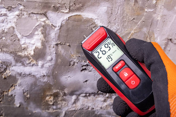 Best Mold Testing  in Paradise, CA