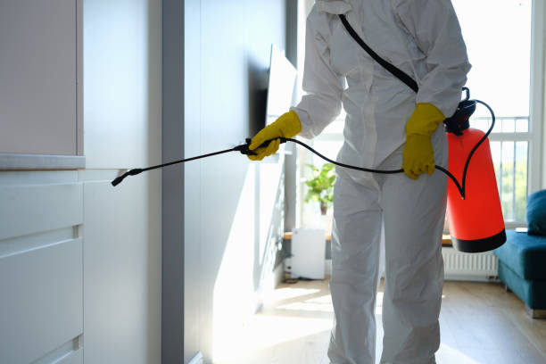 Best Mold Cleaning Services  in Paradise, CA