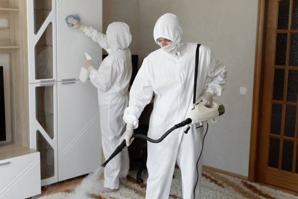 Home Mold Removal in Paradise, CA