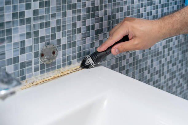 Professional Mold Removal in Paradise, CA
